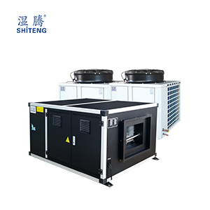 臥式恒溫恒濕空調(diào) HST-62-W