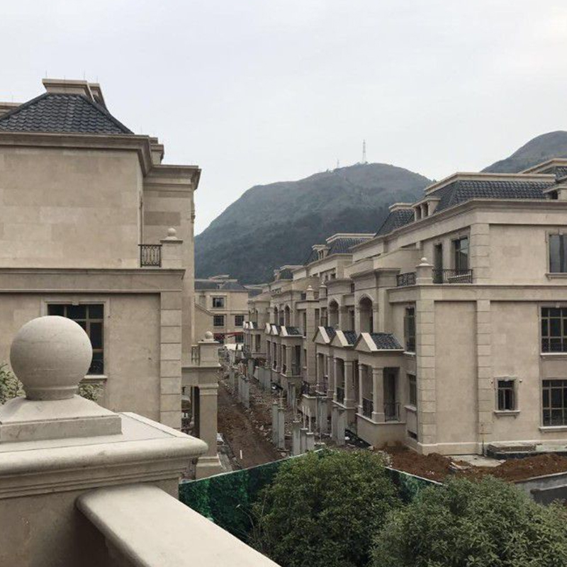 溫州市樂清市正大城  中央除濕系列 2臺